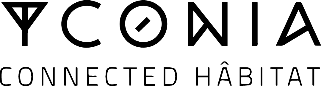 Desarrollo 1