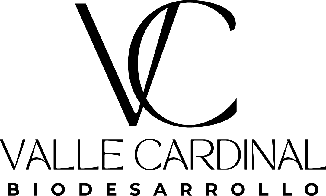 Desarrollo 4