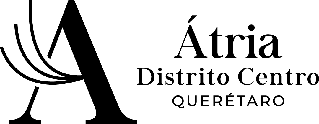 Desarrollo 8